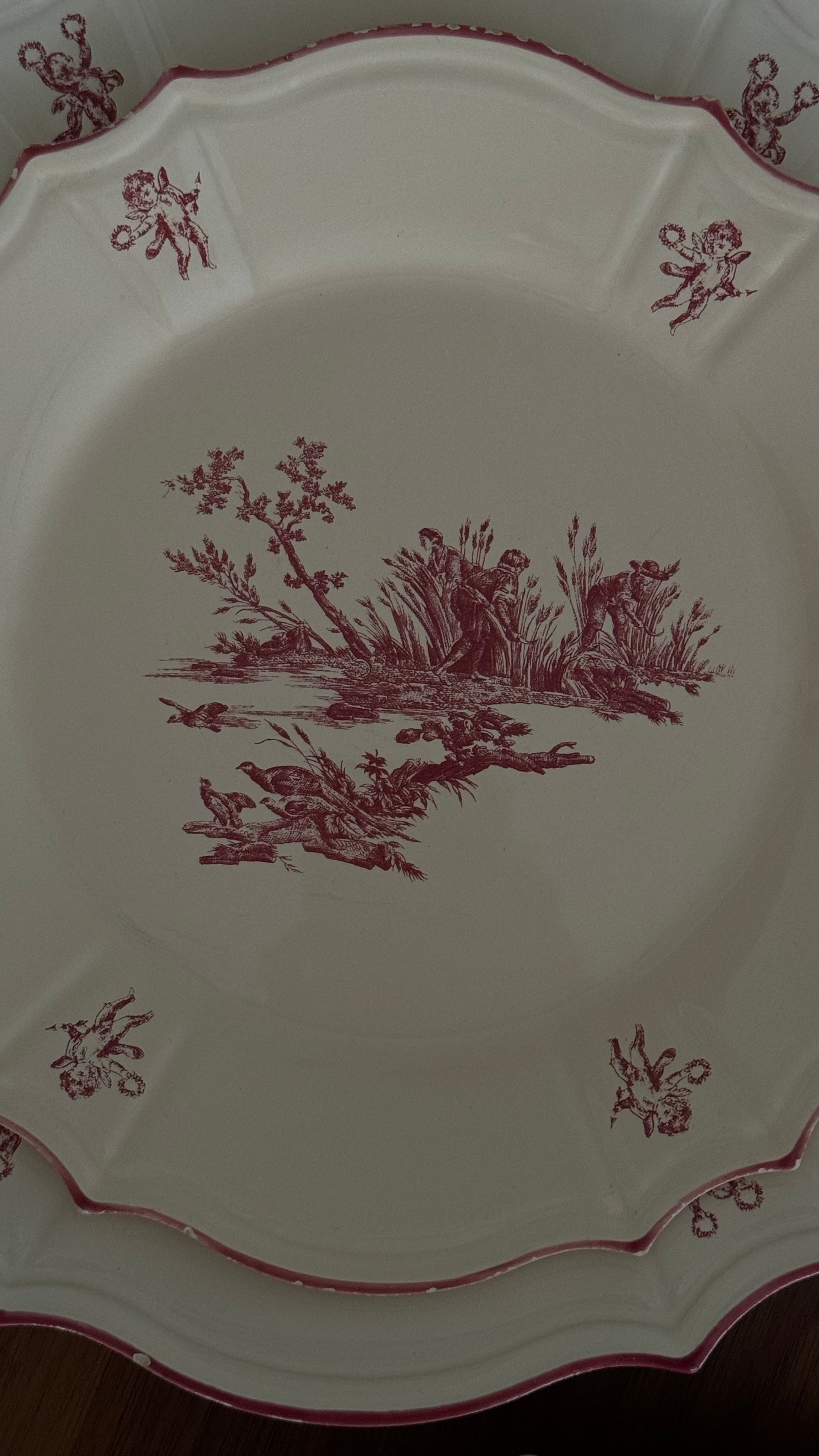 RARE Vintage Niderviller Delices des Quatre Saisons, dining red plates