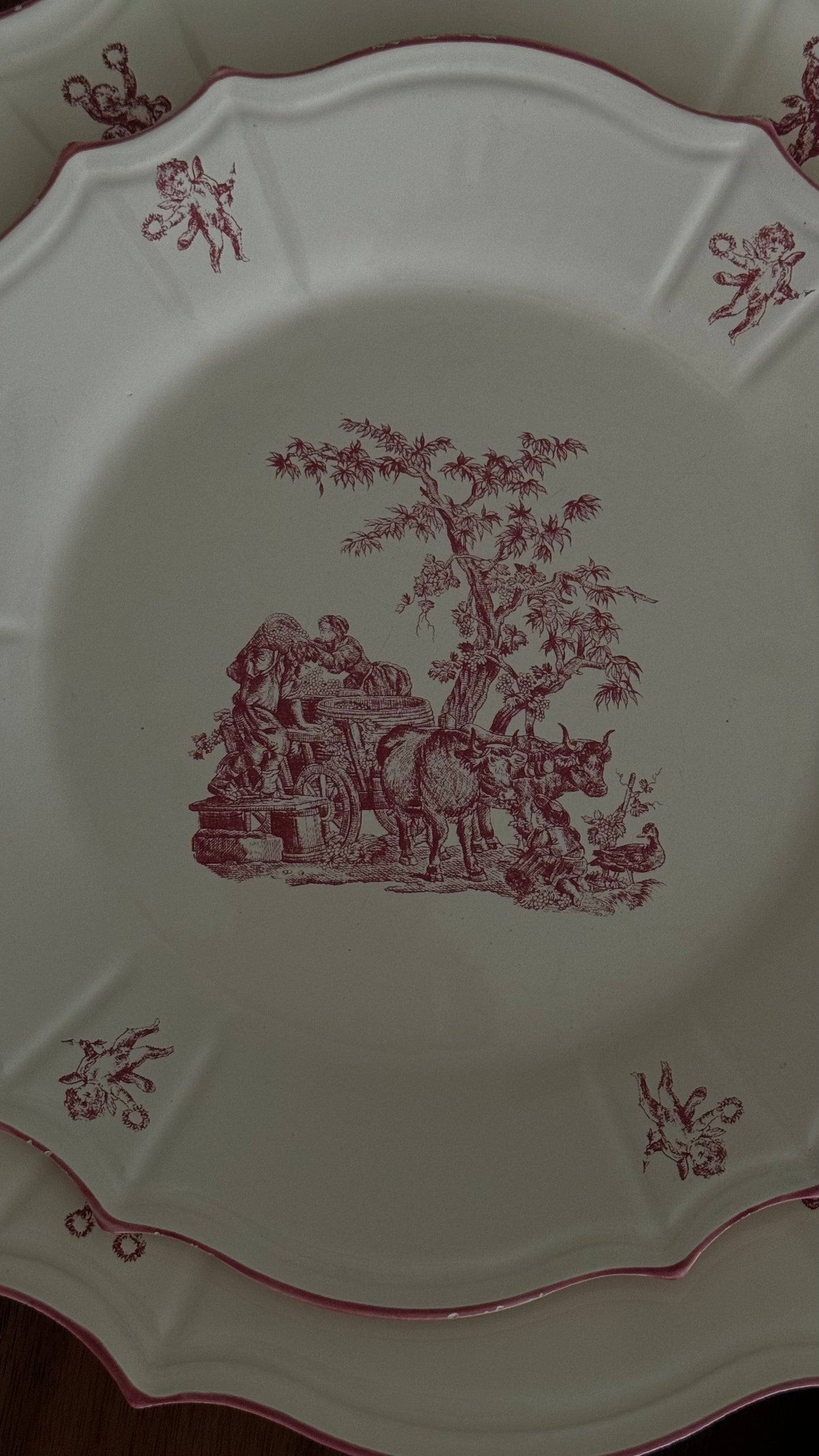 RARE Vintage Niderviller Delices des Quatre Saisons, dining red plates