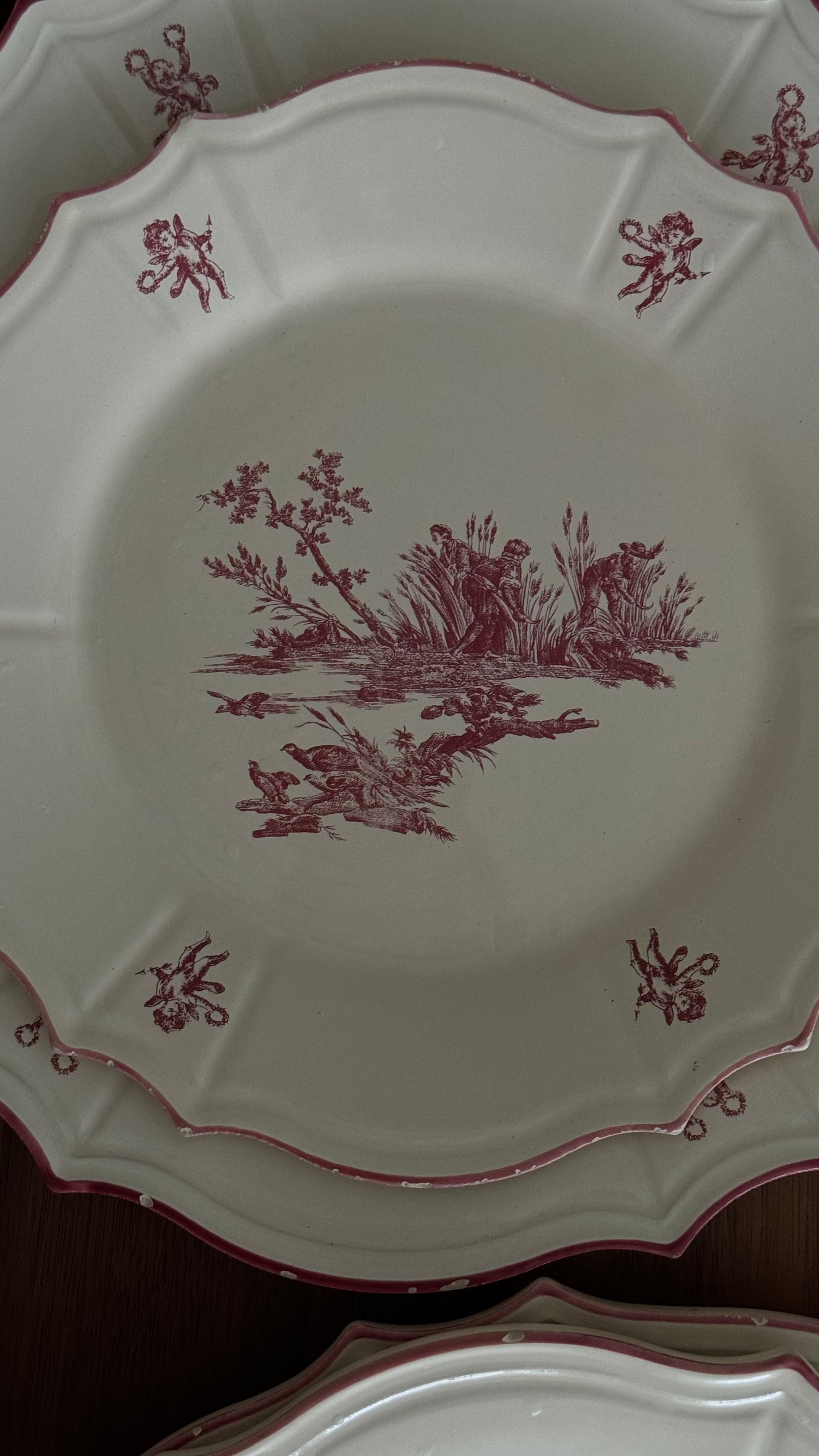 RARE Vintage Niderviller Delices des Quatre Saisons, dining red plates